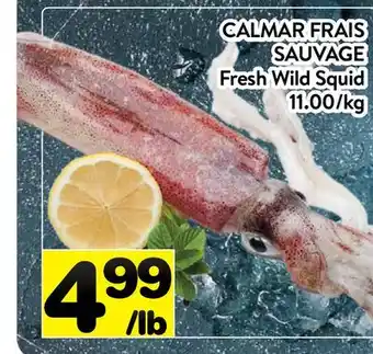 Supermarché PA CALMAR FRAIS SAUVAGE | Fresh Wild Squid offer