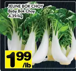 Supermarché PA JEUNE BOK CHOY | Baby Bok Choy offer