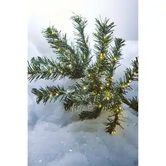 Giant Tiger Festive Living 100 LED Warm White Solar Micro Dot String Lights - 32.8ft. offer
