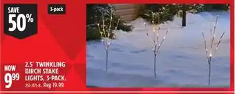 Canadian Tire 2.5´ TWINKLING BIRCH STAKE LIGHTS, 3-PACK offer