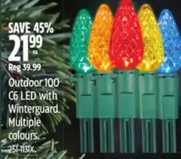 Canadian Tire Outdoor 100 Outdoor 100 C6 LED with Winterguard offer
