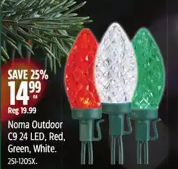 Canadian Tire Noma Outdoor Noma Outdoor C9 24 LED, Red, Green, White offer