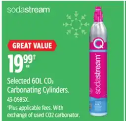 Canadian Tire Selected 60L CO2 Carbonating Cylinders offer