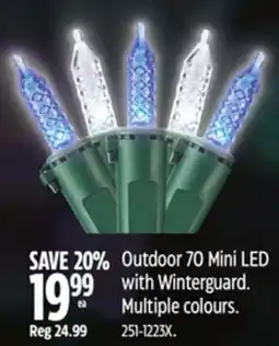 Canadian Tire Outdoor 70 Mini LED with Winterguard. Multiple colours offer