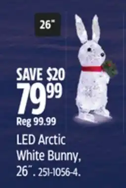 Canadian Tire CANVAS LED Arctic White Bunny offer