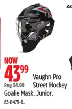 Canadian Tire Vaughn Pro Street Hockey Goalie Mask, Junior offer