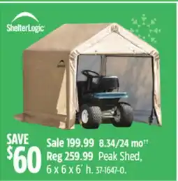 Canadian Tire Peak Shed, 6 x 6 x 6´ h offer