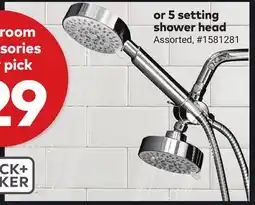 Giant Tiger or 5 setting shower head offer