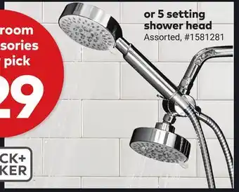 Giant Tiger or 5 setting shower head offer