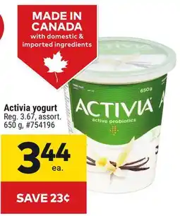 Giant Tiger Activia yogurt offer