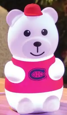 Giant Tiger Assorted Licensed bear light offer