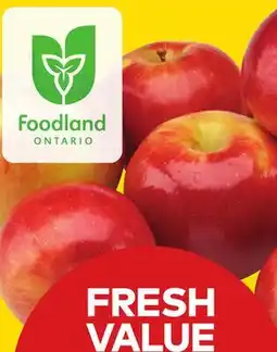 Giant Tiger 3 lb McIntosh apples offer