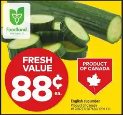 Giant Tiger English cucumber offer
