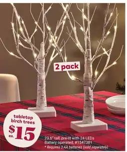 Giant Tiger Table top birch tree offer