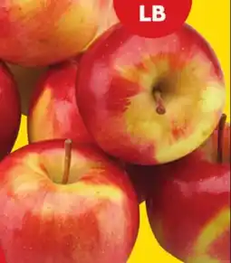 Giant Tiger 3 lb McIntosh apples or 3 lb Cortland apples offer