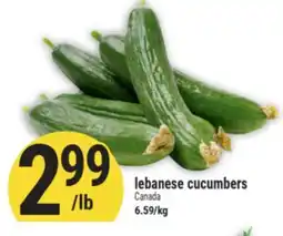 Marché Adonis lebanese cucumbers offer