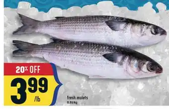 Marché Adonis Fresh mulets offer