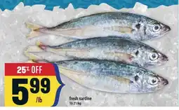 Marché Adonis Fresh sardine offer