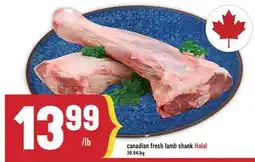 Marché Adonis Canadian fresh lamb shank Halal offer