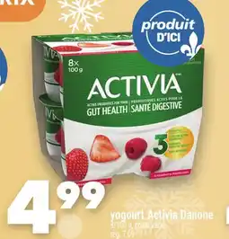 Marche Ami Yogourt Activia Danone offer