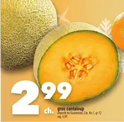 Marche Ami Gros cantaloup offer