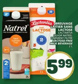 Marché Bonichoix LACTANTIA OR NATREL LACTOSE-FREE MILK BEVERAGE offer