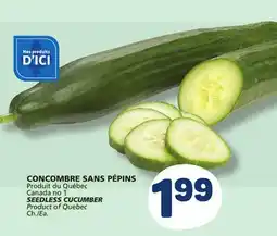 Marché Bonichoix SEEDLESS CUCUMBER offer