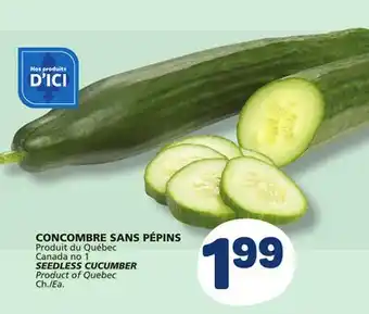Marché Bonichoix SEEDLESS CUCUMBER offer