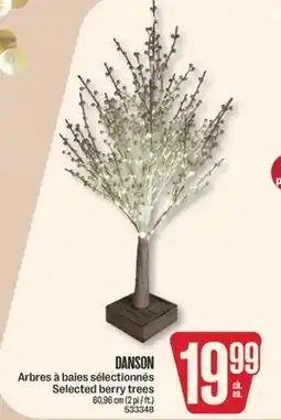 Jean Coutu DANSON Selected berry trees offer