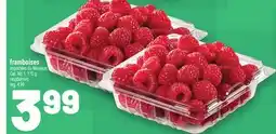Metro RASPBERRIES | RASPBERRIES offer