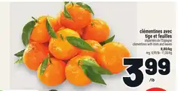 Metro CLÉMENTINES AVEC TIGE ET FEUILLES | CLEMENTINES WITH STEM AND LEAVES offer