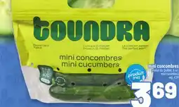 Metro MINI CONCOMBRES | MINI CUCUMBERS offer