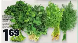 Metro PERSIL, PERSIL ITALIEN, ANETH OU CORIANDRE | PARSLEY, ITALIAN PARSLEY, DILL OR CILANTRO offer