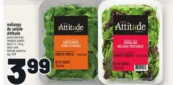 Metro MÉLANGE DE SALADE ATTITUDE | ATTITUDE SALAD MIX offer