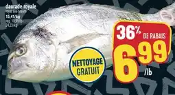 Marché Adonis DAURADE ROYALE | ROYAL SEA BREAM offer