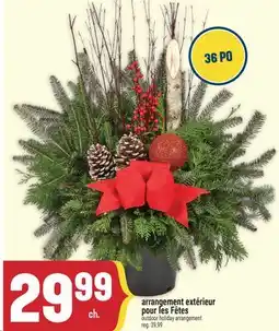 Marché Adonis ARRANGEMENT EXTÉRIEUR POUR LES FÊTES | OUTDOOR HOLIDAY ARRANGEMENT offer