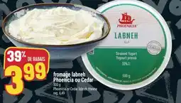 Marché Adonis FROMAGE LABNEH PHOENICIA OU CEDAR | PHOENICIA OR CEDAR LABNEH CHEESE offer