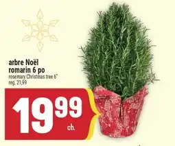 Marché Adonis ARBRE NOËL ROMARIN 6 PO | ROSEMARY CHRISTMAS TREE 6 offer