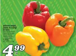 Marché Richelieu POIVRONS ROUGES, JAUNES OU ORANGE DE SERRE | HOTHOUSE RED, YELLOW OR ORANGE PEPPERS offer