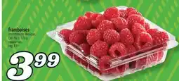 Marché Richelieu FRAMBOISES | RASPBERRIES offer