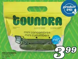 Marché Richelieu MINI CONCOMBRES | MINI CUCUMBERS offer