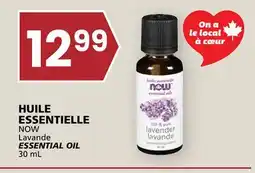 Rachelle-Bery Grocery NOW Lavande ESSENTIAL OIL offer