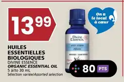Rachelle-Bery Grocery DIVINE ESSENCE ORGANIC ESSENTIAL OIL offer