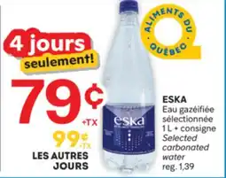 Brunet ESKA Eau gazéifiée sélectionnée offer