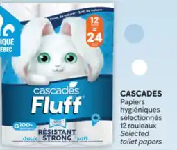 Brunet CASCADES Papiers hygiéniques sélectionnés offer