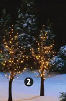 Canadian Tire Canvas 4´ Warm White LED Blossom Twinkle Trees, 2-Pack offer