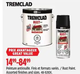 Canadian Tire Rust Paint offer