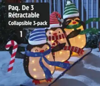 Canadian Tire Collapsible 3-pack offer