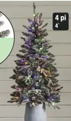 Canadian Tire Noma 4´ Halston Potted Tree offer