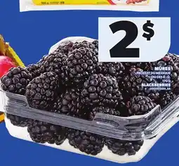 Provigo BLACKBERRIES, 170 G offer